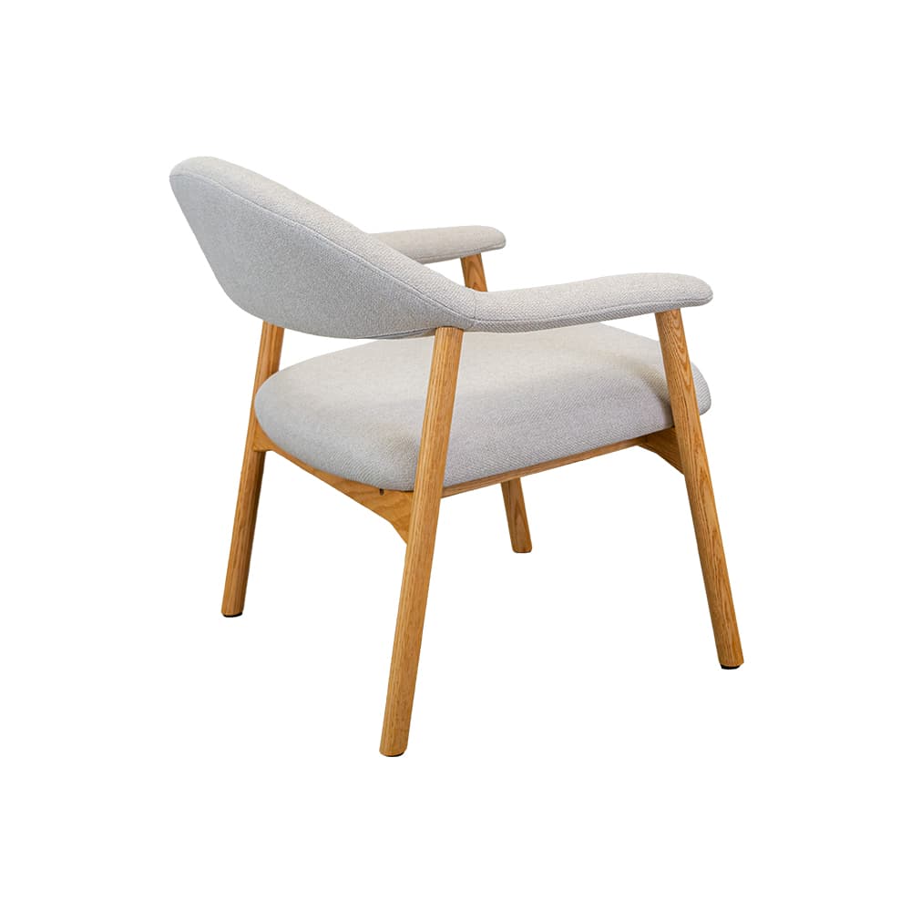 ALDI,เก้าอี้พักผ่อนพร้อมท้าวแขน-4