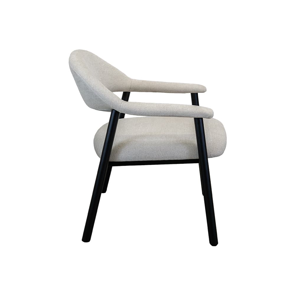 ALDI,เก้าอี้พักผ่อนพร้อมท้าวแขน-3