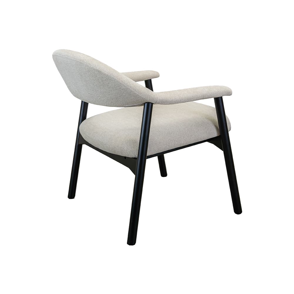 ALDI,เก้าอี้พักผ่อนพร้อมท้าวแขน-4