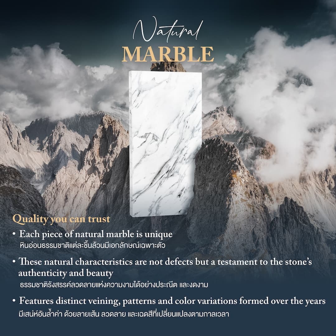 CONE CIRCLE-GV/80,โต๊ะอาหาร-5