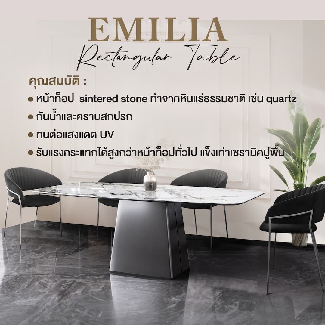 EMILIA RECTANGULAR-RG/220,โต๊ะอาหาร-5