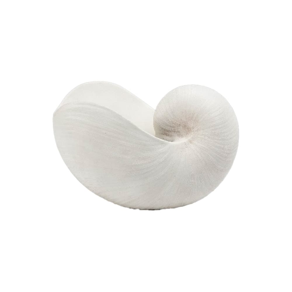 LAMPREY,ของแต่งบ้าน