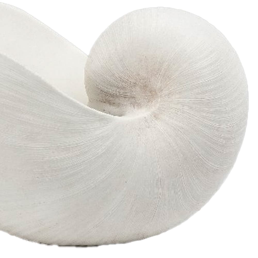 LAMPREY,ของแต่งบ้าน-2