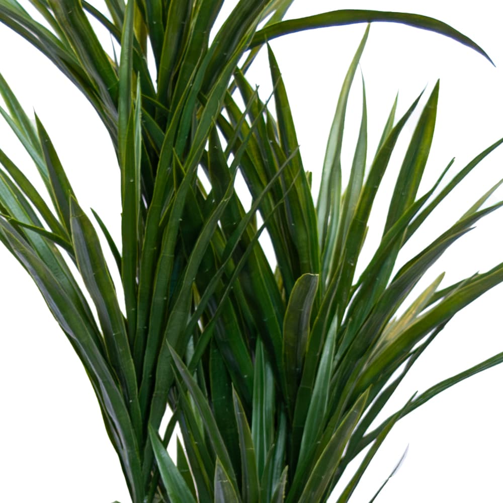 DRAGON TREE/110,ต้นไม้ประดิษฐ์ในกระถาง-4