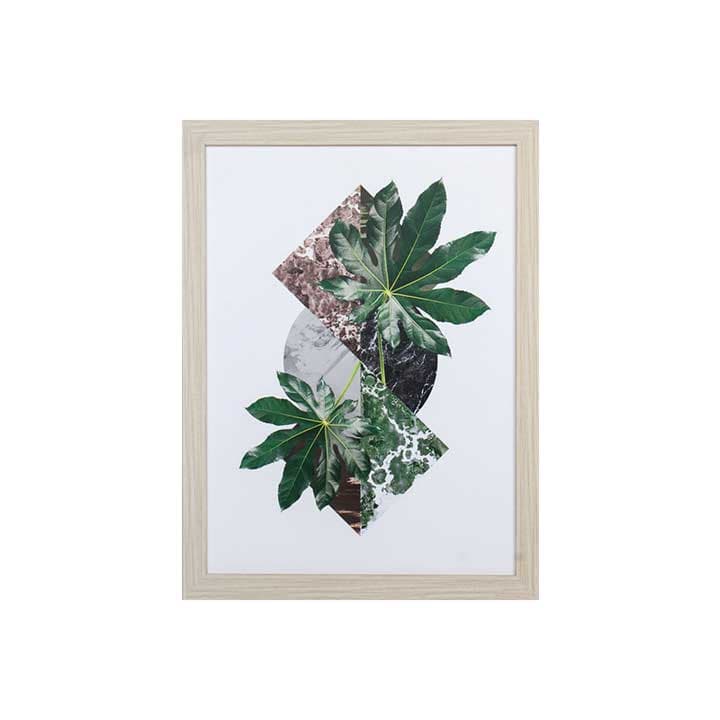 GREEN TROPICAL-B/45x60,ภาพติดฝาผนัง