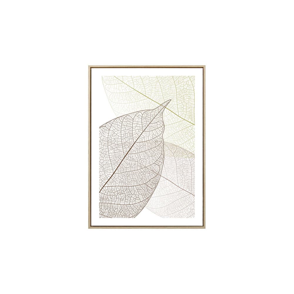 SHADOW-B/50x70,ภาพติดฝาผนัง