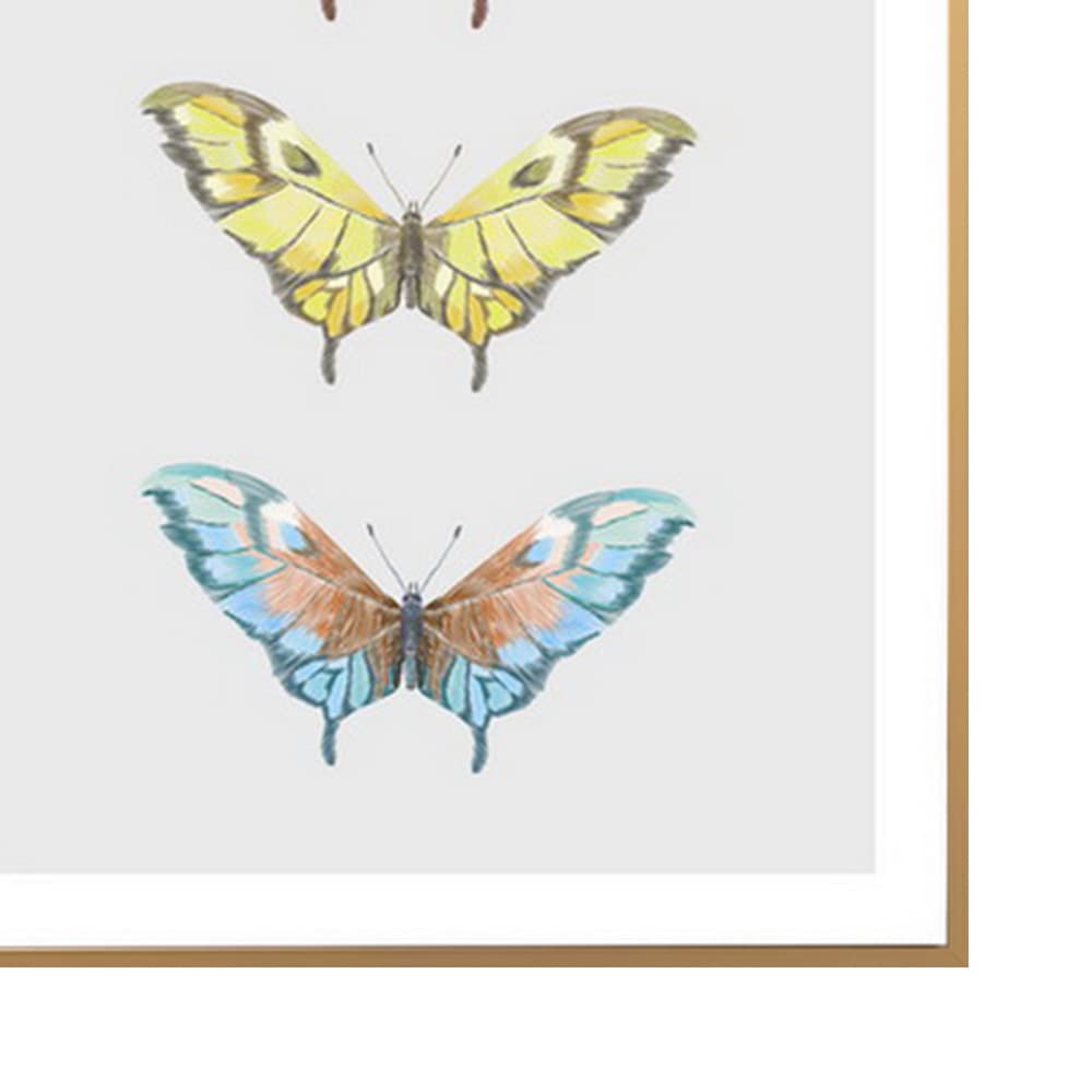 DENWEN/45x60,ภาพติดฝาผนัง-2