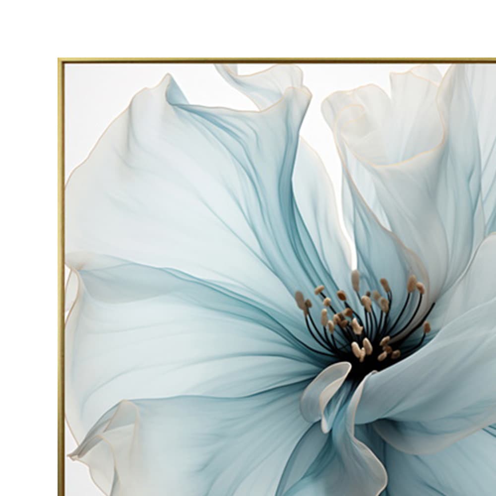 ALLAMANDA-A/40x50,ภาพติดฝาผนัง-2