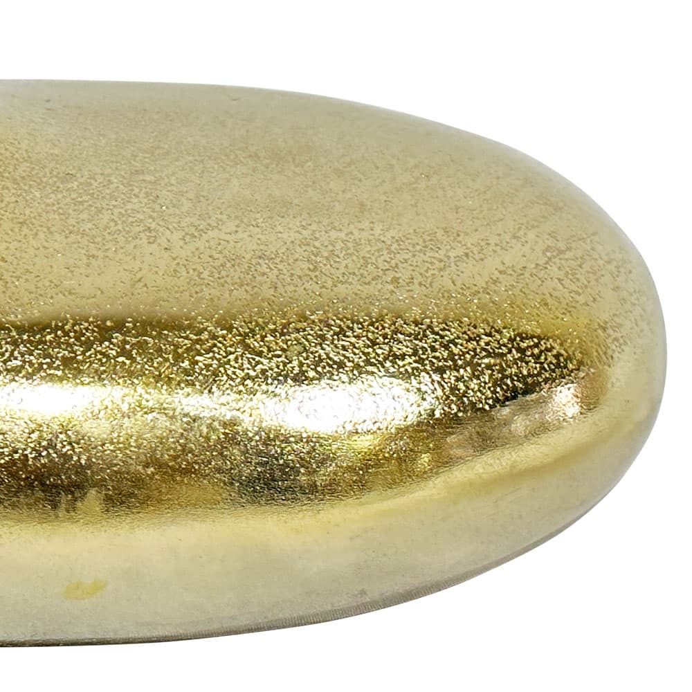 DROSERA/10,แจกัน-3