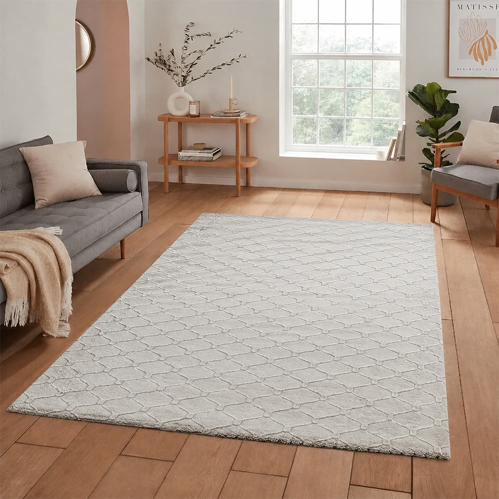 MAJOR SHAGGY-GY/100x160,พรม