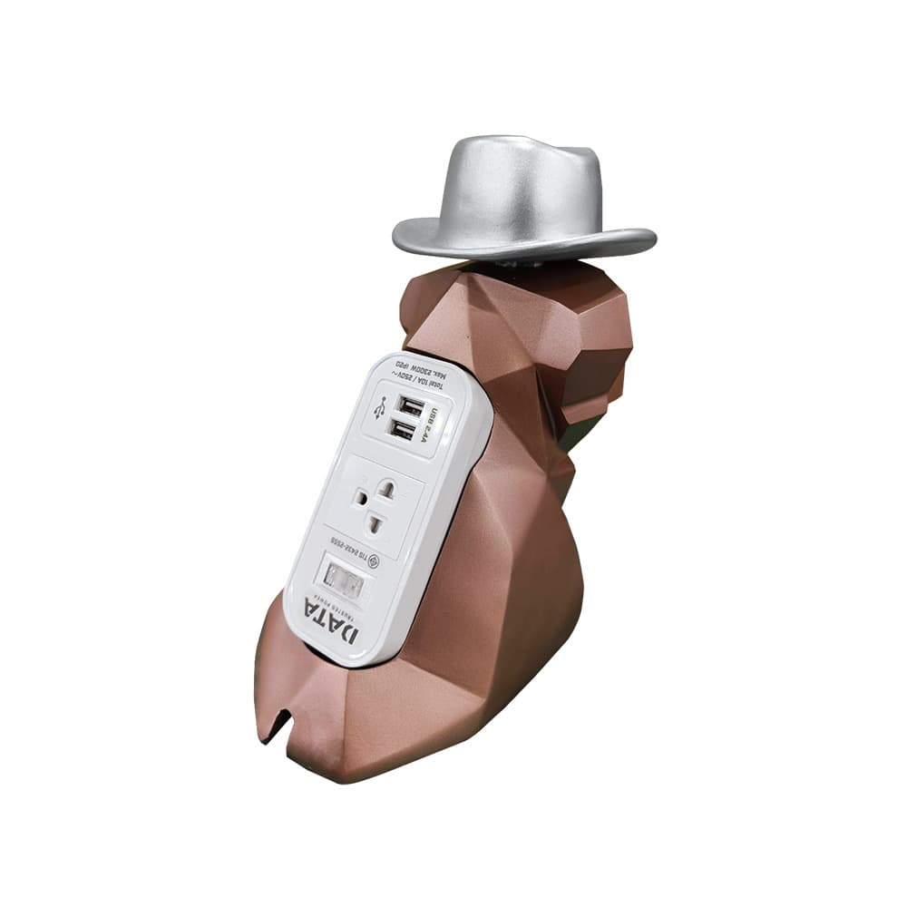 ปลั๊กไฟลาบาดอร์ สีทองแดงหมวกเงิน WL232I USB-2