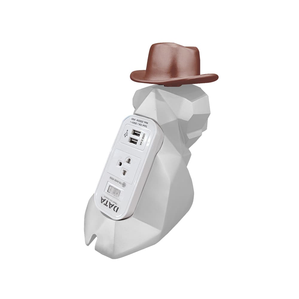 ปลั๊กไฟลาบาดอร์ สีเงินหมวกทองแดง WL232I USB-2