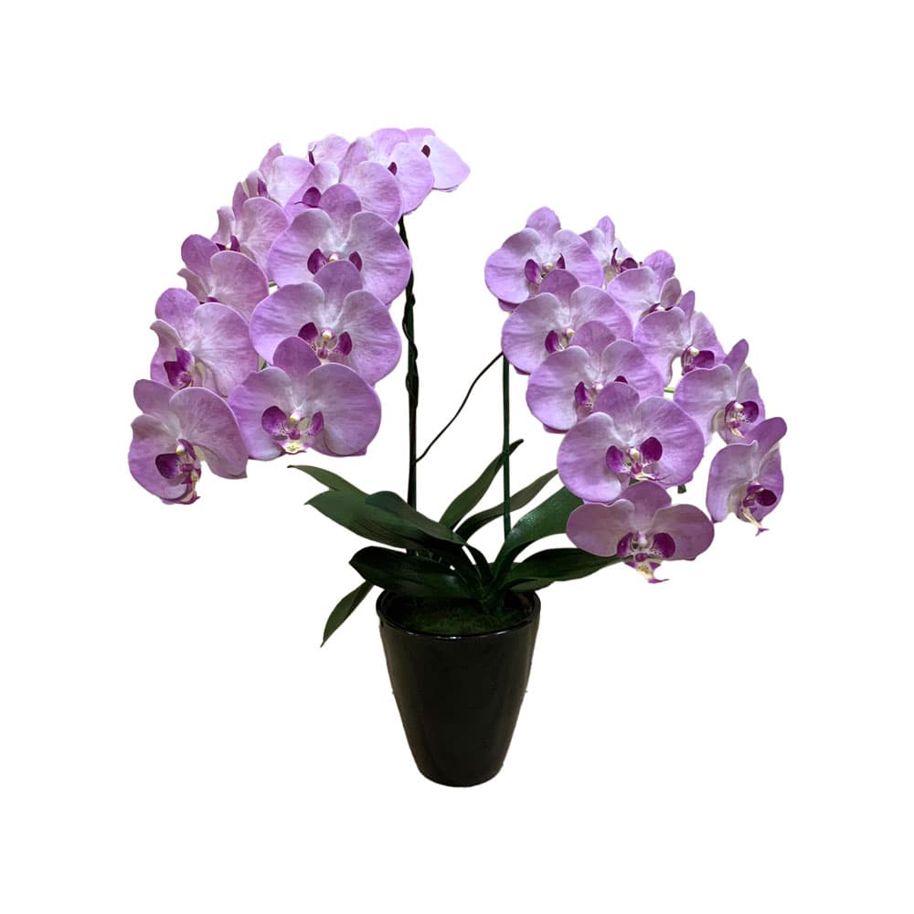 ดอกไม้ประดิษฐ์ ฟาแลนด์ 2 ช่อ(ม่วง)