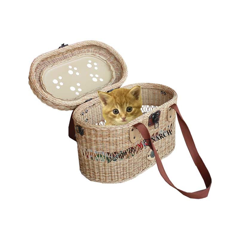 DPR3-31INPOEP-59N19 กระเป๋าใส่สุนัขและแมว วงรี-2