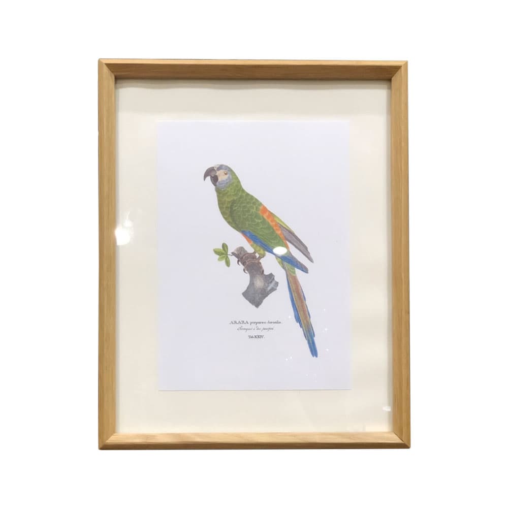 รูปภาพดอกไม้พร้อมกรอบสีน้ำตาล